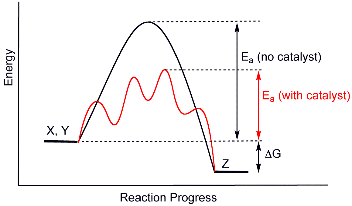 Scientia ac Labore "A Brief History of Catalysis" chempaperaday Day