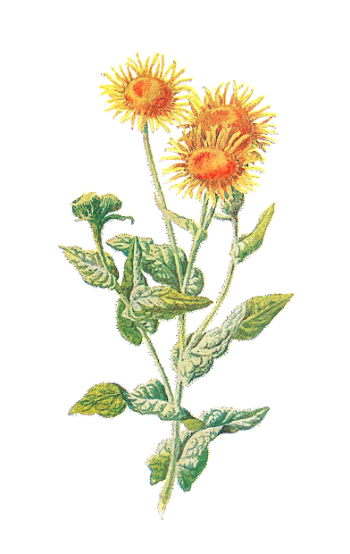 antique digital