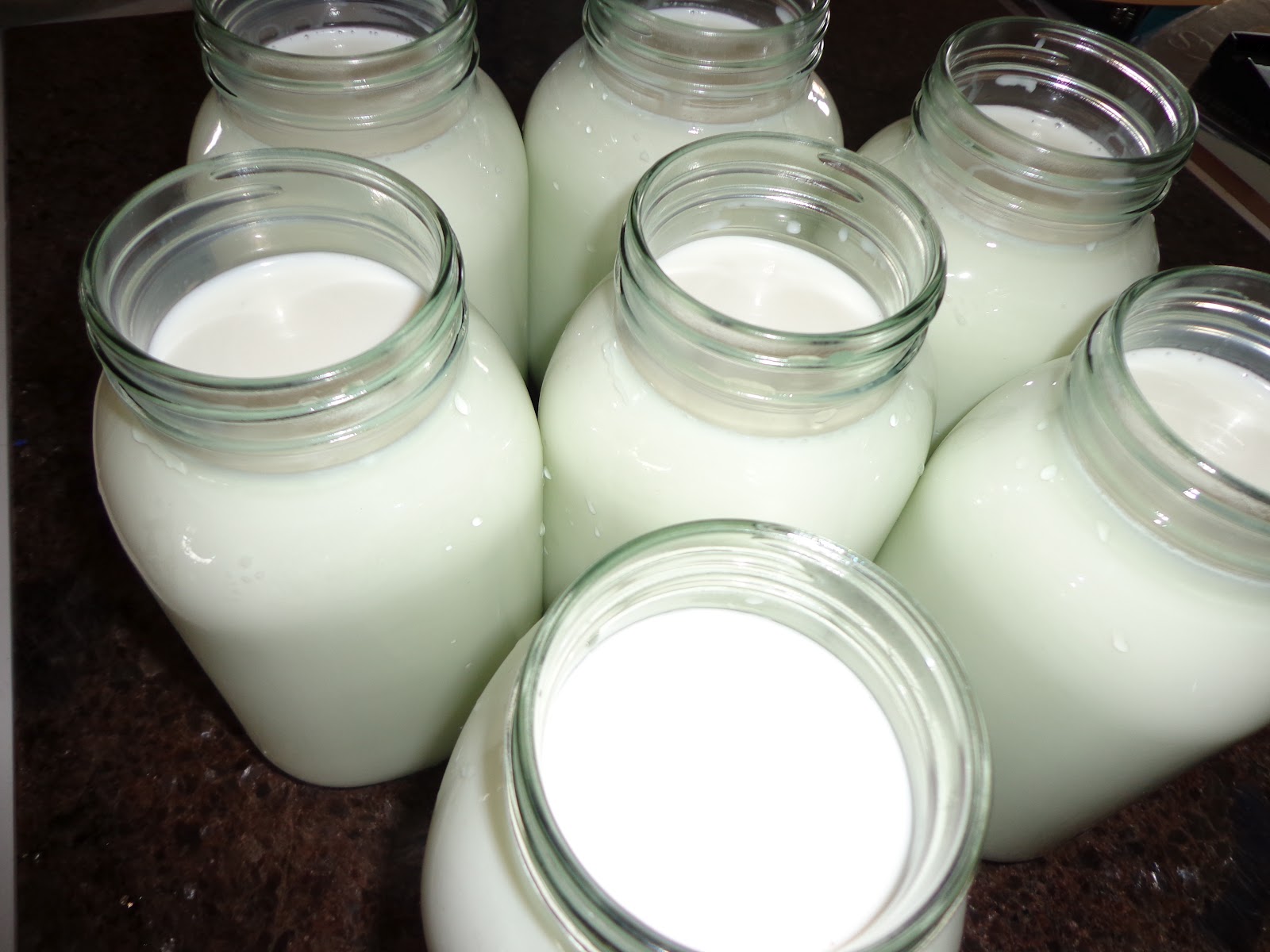 Frugal Living on the Watkins Ranch Canning Milk