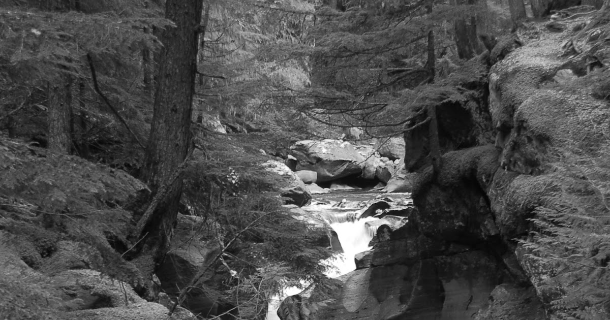 Example of an observation essay image