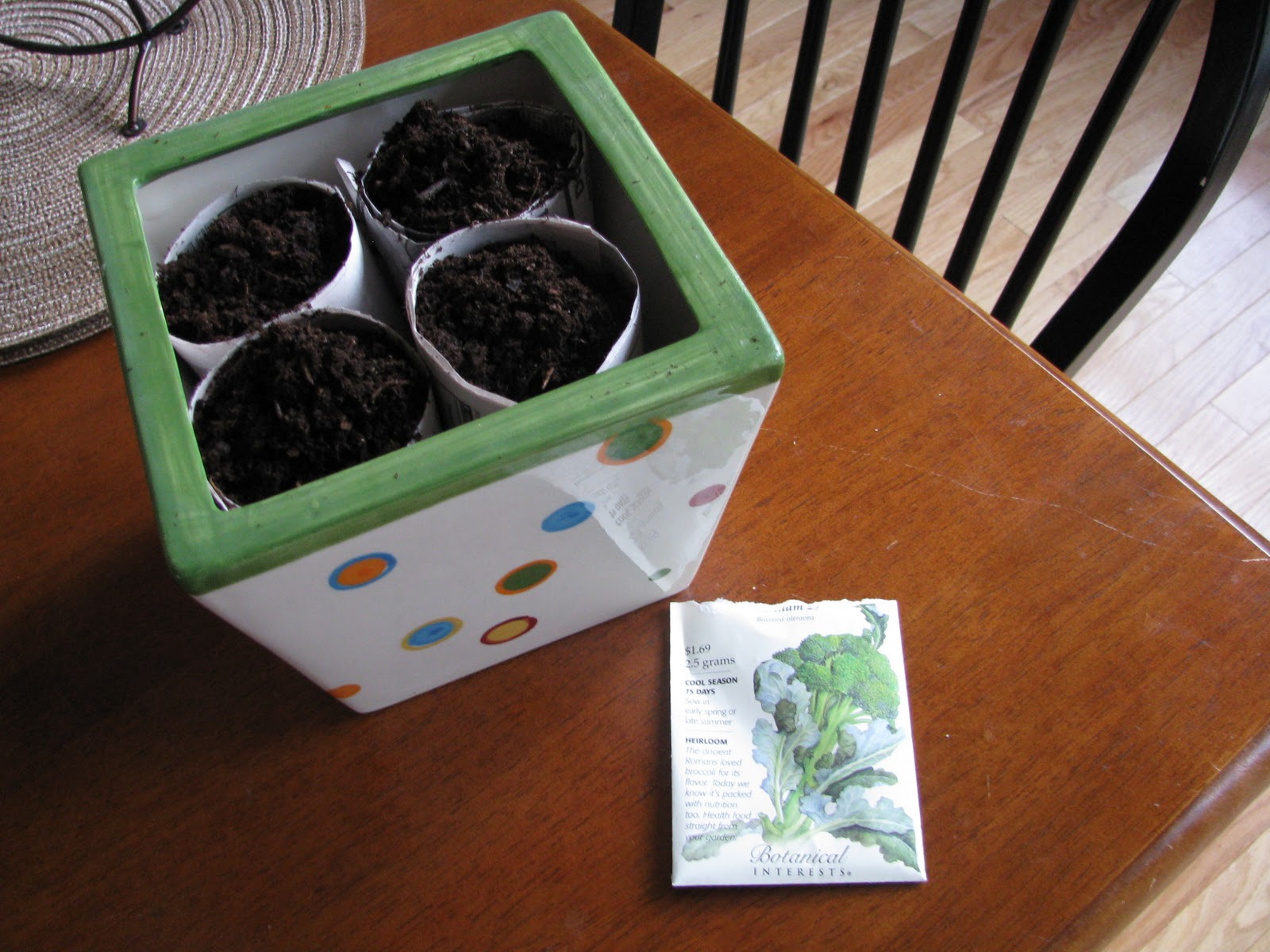 The Lingering Liveaboard Sprouting Seeds with Newspaper Cups