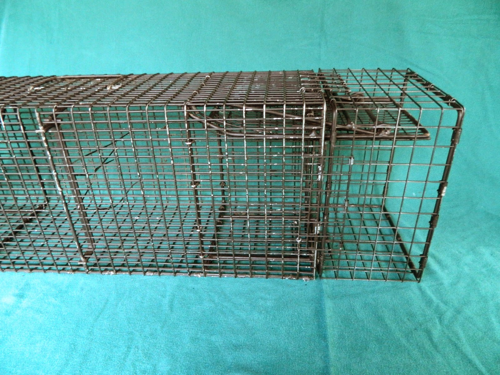 New Option in Flush Mount Traps for all 9x11 Comstock Cages, https
