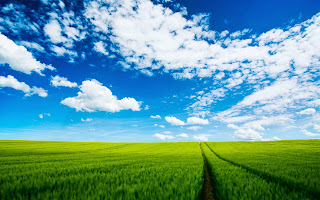 Beautiful-HD-Nature-Green-And-Blue-Sky-Wallpaper