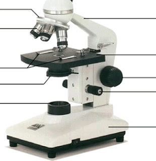 The Science Scoop: Microscope Labeling Practice Quiz