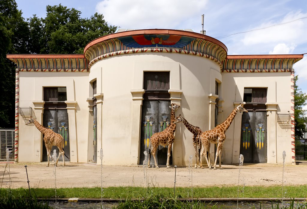 The Circus "NO SPIN ZONE" Antwerp ZooGiraffe House