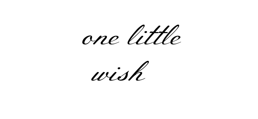 one little wish