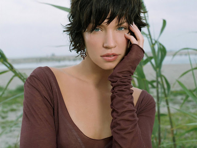 Hot Pictures of Ashley Scott