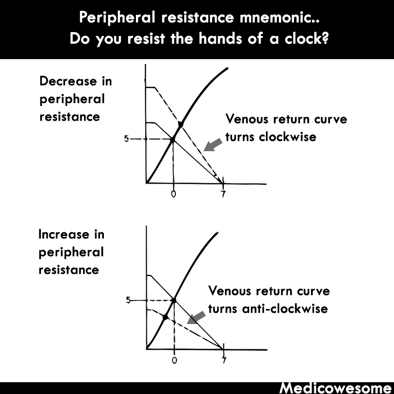 venous return