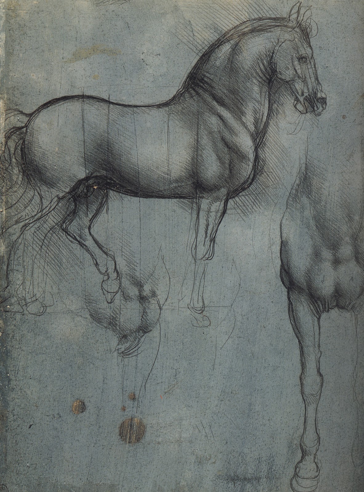 Silverpoint Drawing, History and Technique Artists' Blogs Medical