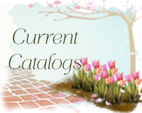 Lost your catalog?
