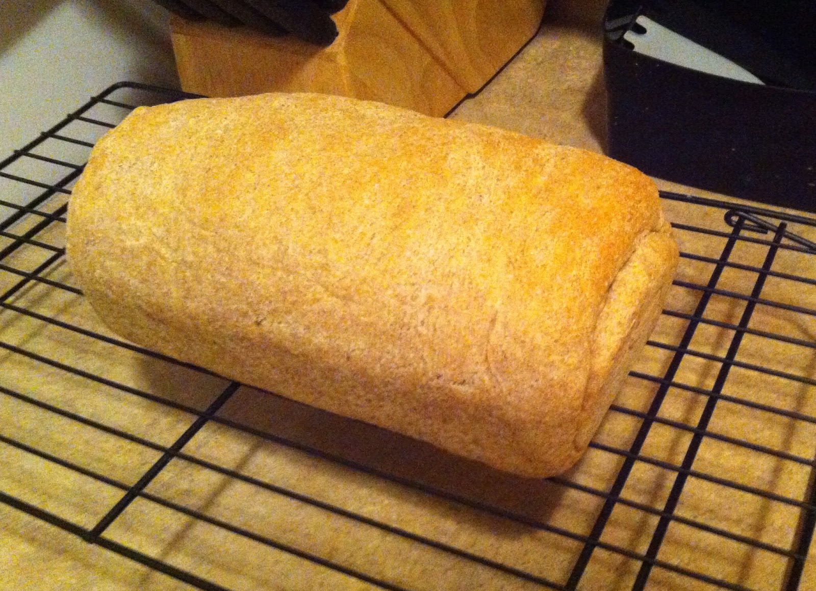 Navigating a Cluttered Kitchen Wheat Potato Bread