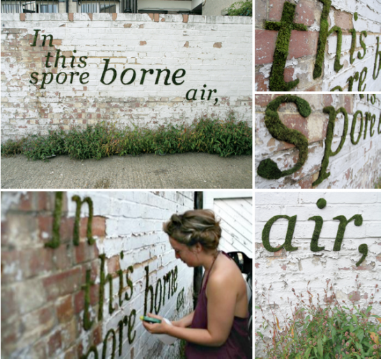 How to Make Moss Graffiti (100 Working Method) 7 Steps (with