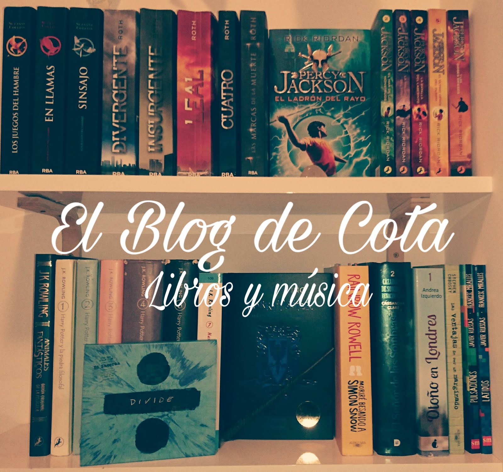 El blog de Cota