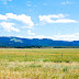 Editing Landscapes in Island Park, ID