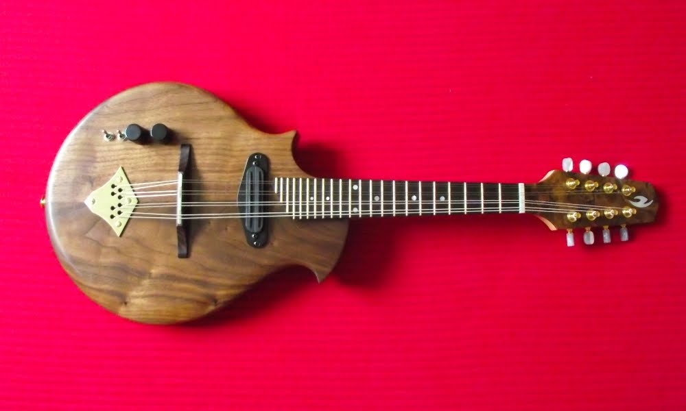 Nava Electric mandolin