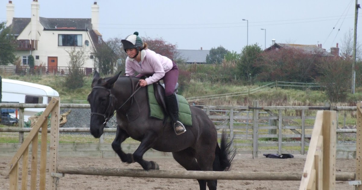 The British Mule Society What Can Mules Do?