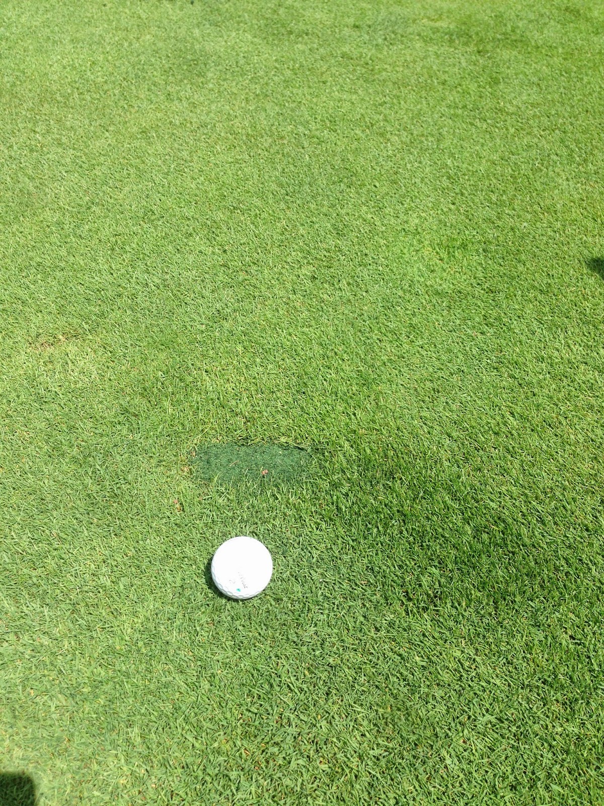LEDGEROCK GOLF CLUB MAINTENANCE Divot Repair