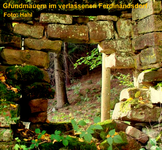 Proreg News November 2012