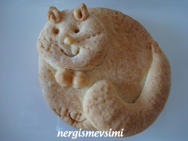 nergismevsimi KEDİ KURABİYE