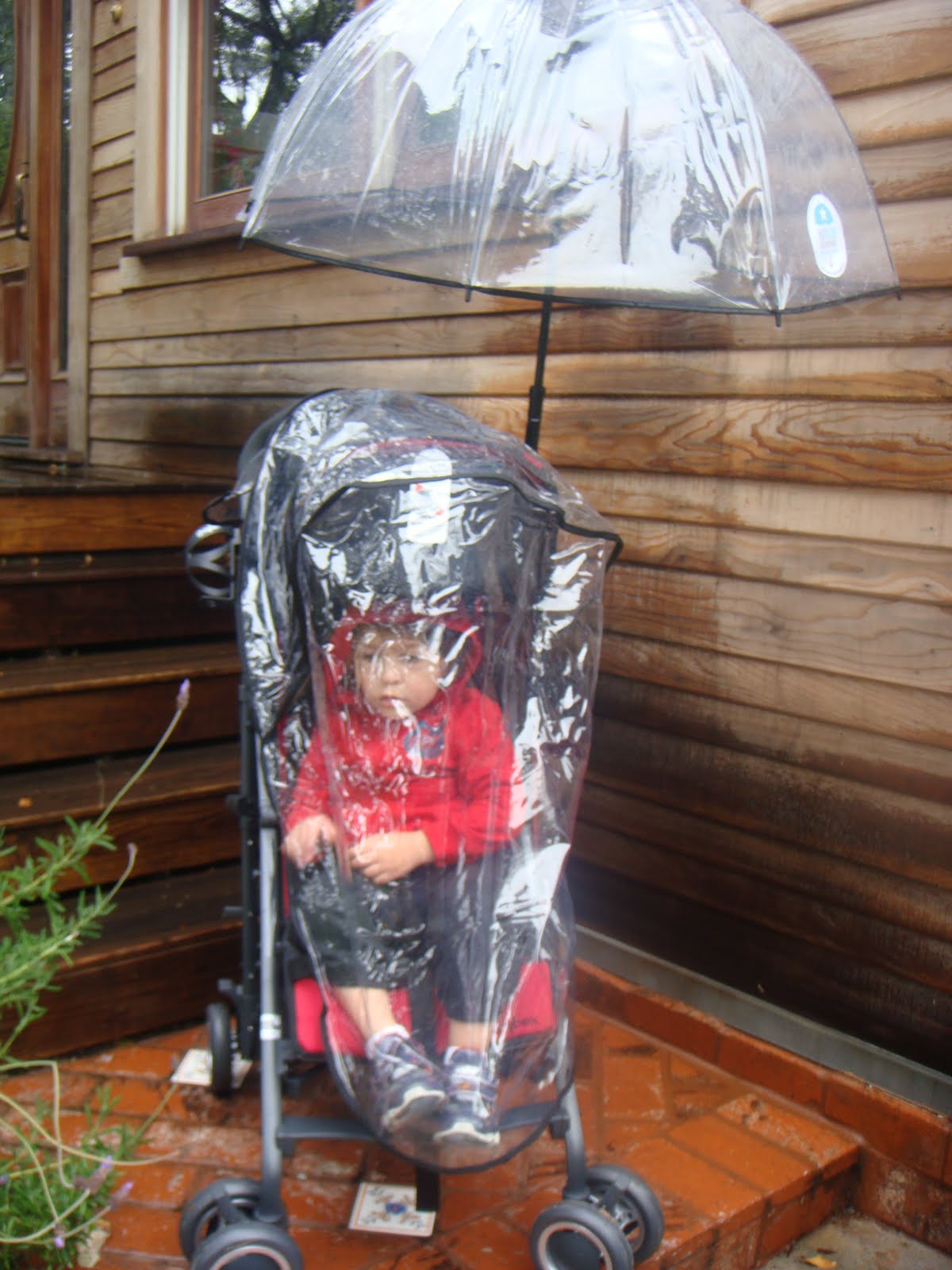 cybex onyx umbrella stroller