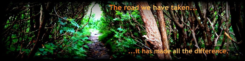 The Road We Have Taken...