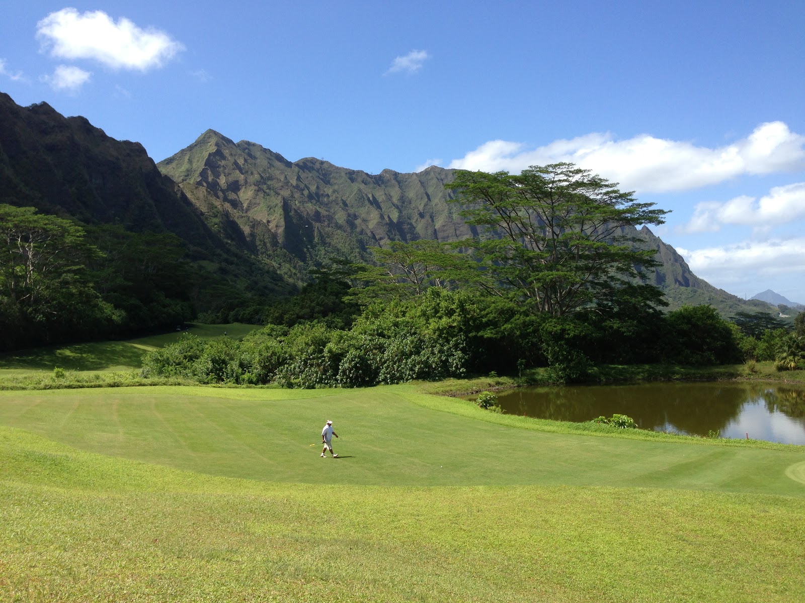 TASTE OF HAWAII KO'OLAU GOLF CLUB KANEOHE, HAWAII
