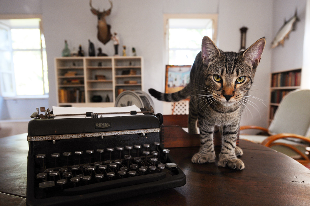 oz.Typewriter Cats and Typewriters Dedicated to the late Tilman Elster