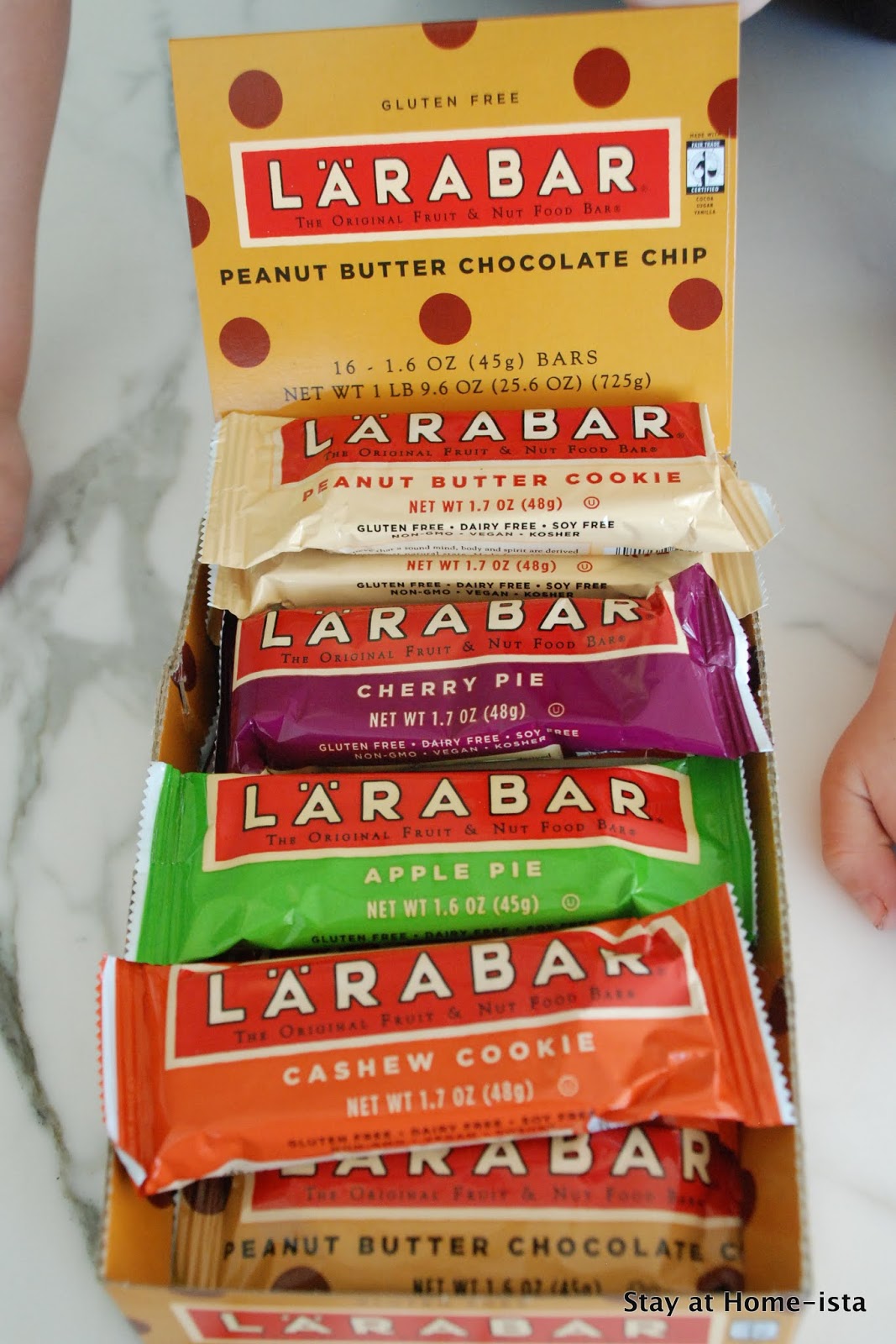 Stay at Homeista Knockoff LaraBar Success!
