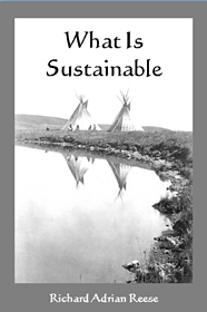 What Is Sustainable