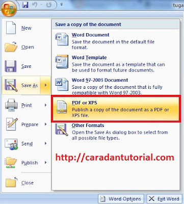 save as PDF