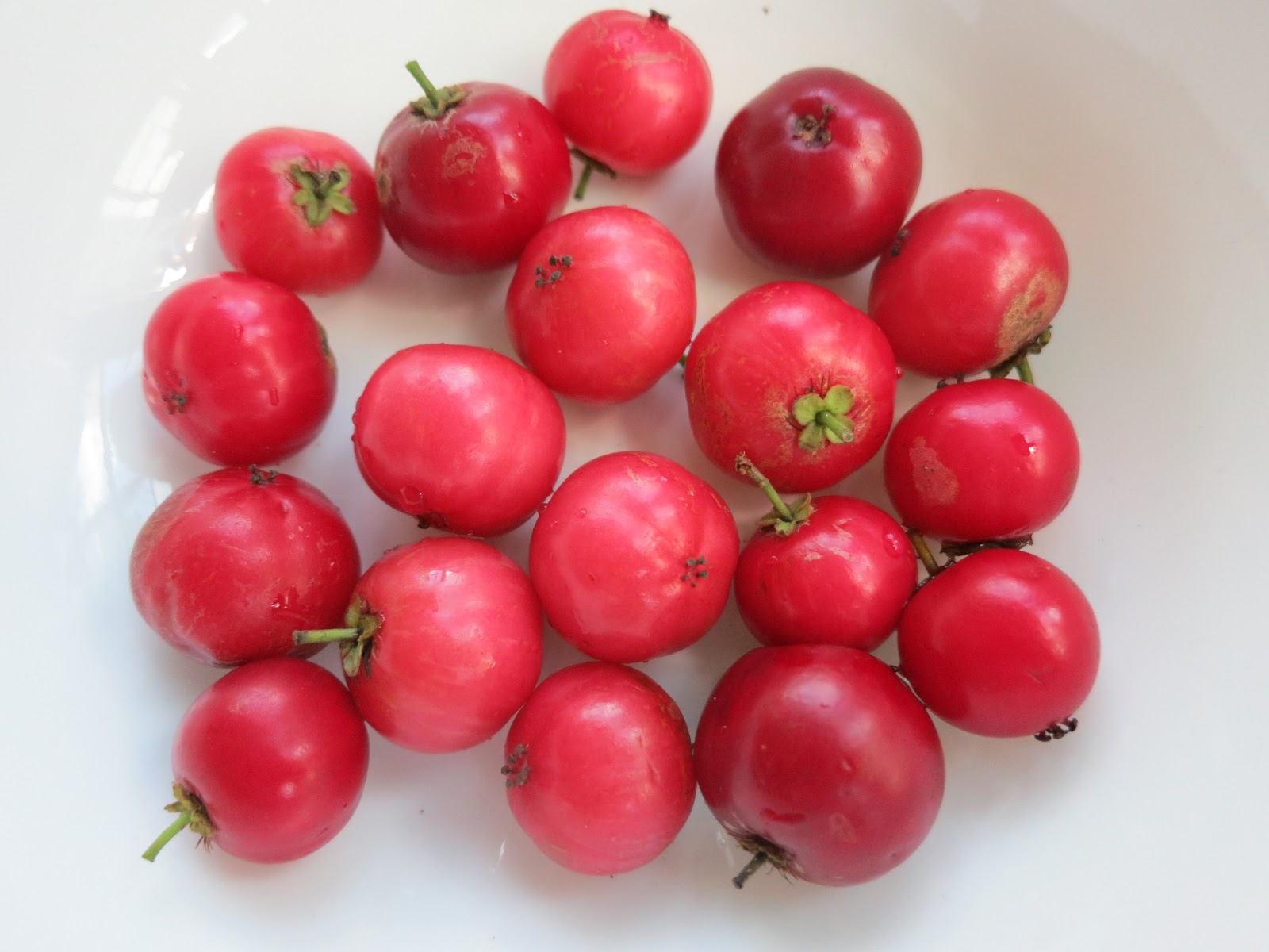 Singapore cherries