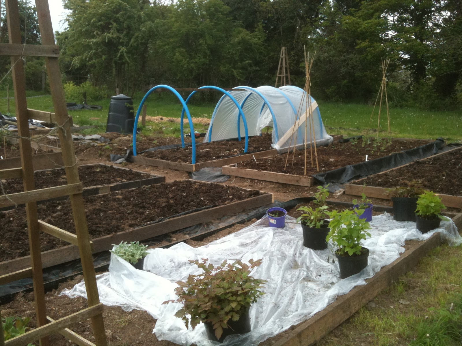 Mini home made polytunnel Lackan Cottage Farm Permaculture off grid