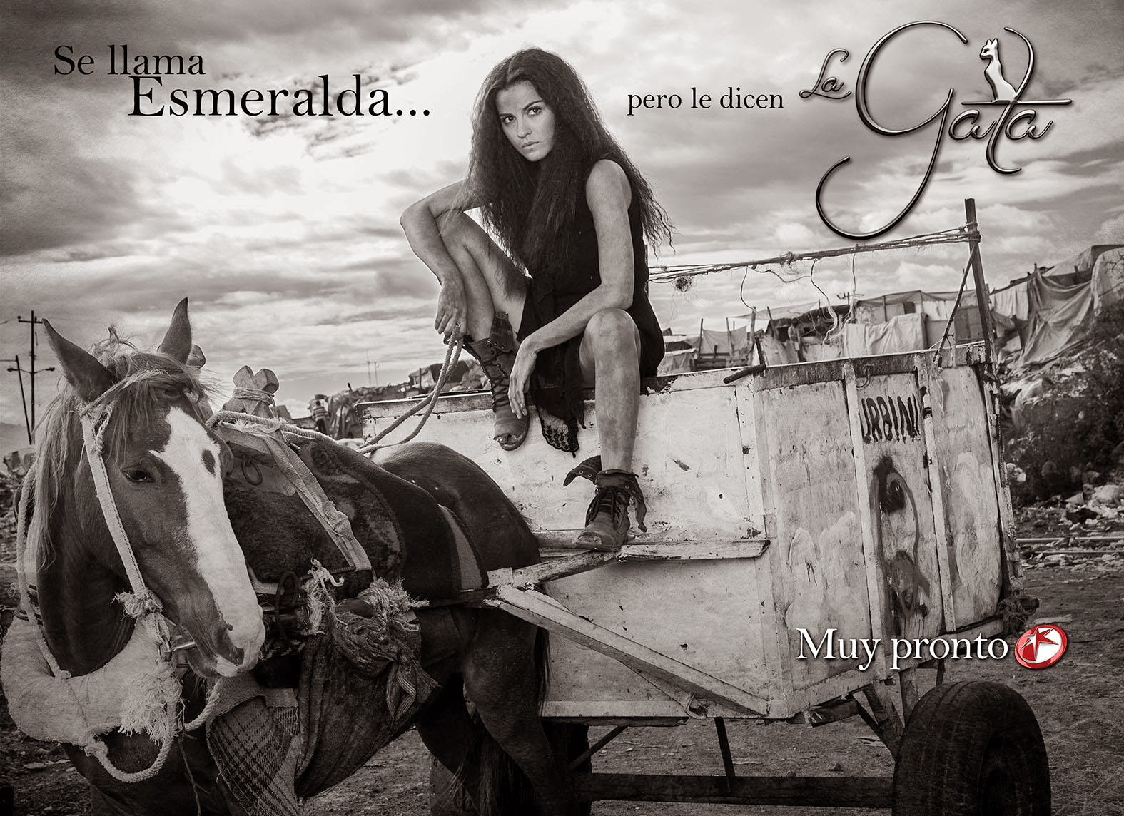 Novelas Radar Novela Pages La Gata