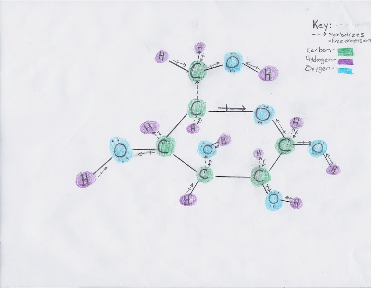 My Glucose Molecule