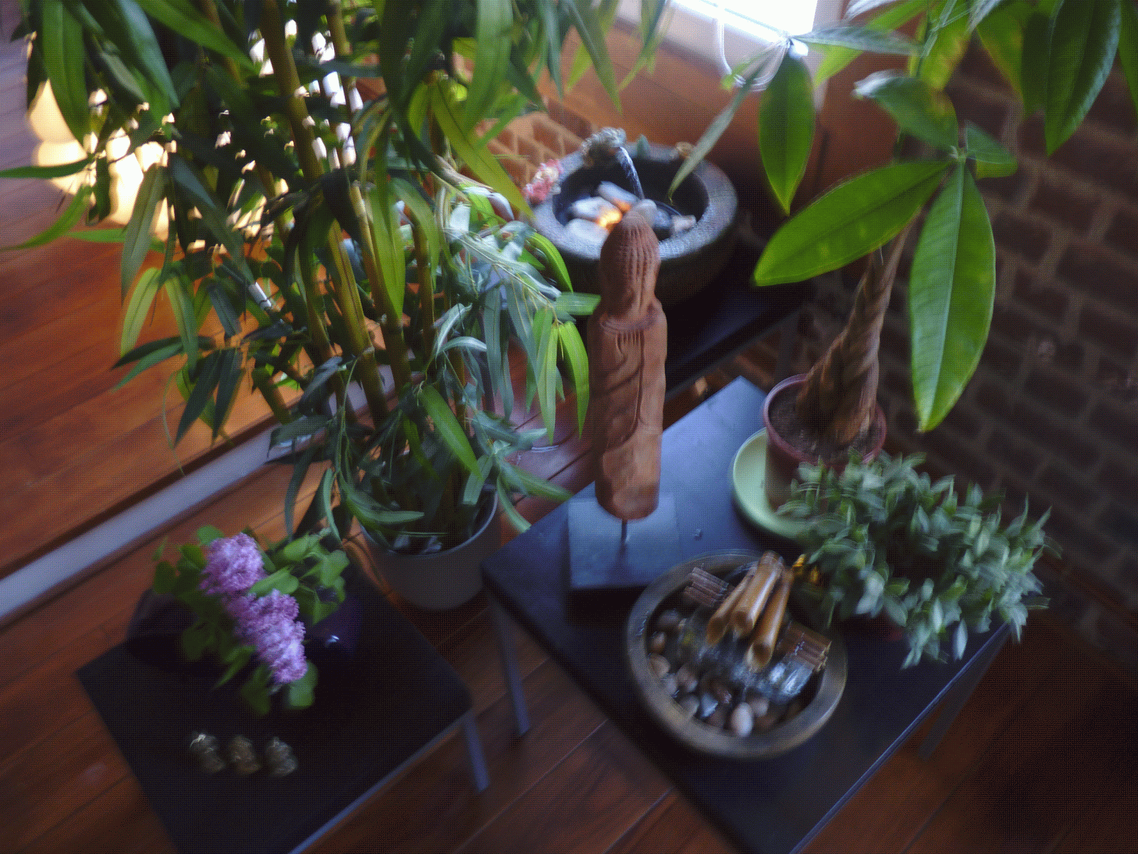 Le blog de l' accro du feng shui: mai 2011