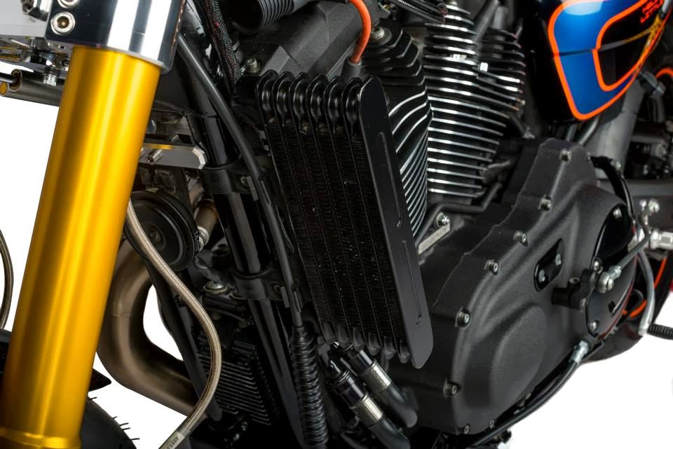 MotoGp Harley XR 1200 "XR HDLS" by Shaw Speed & Custom