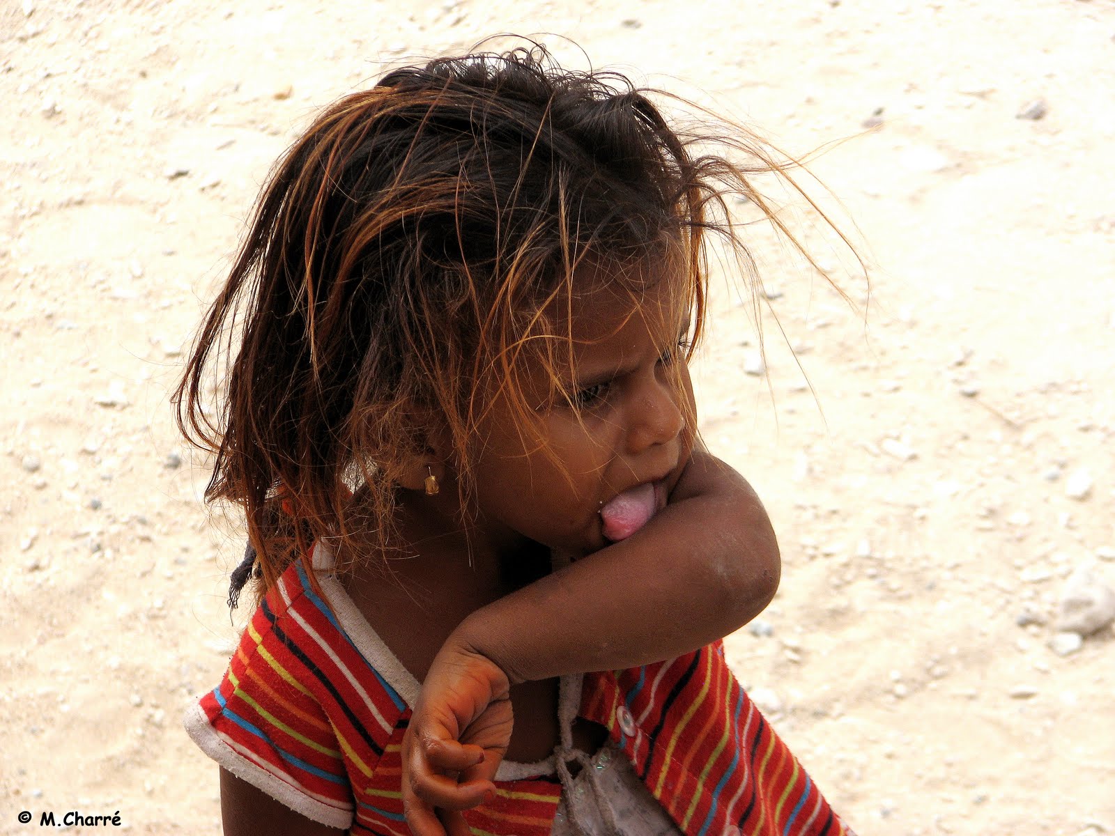 Egyptsearch Forums Genetic Evidence For The Expansion Of Arabian