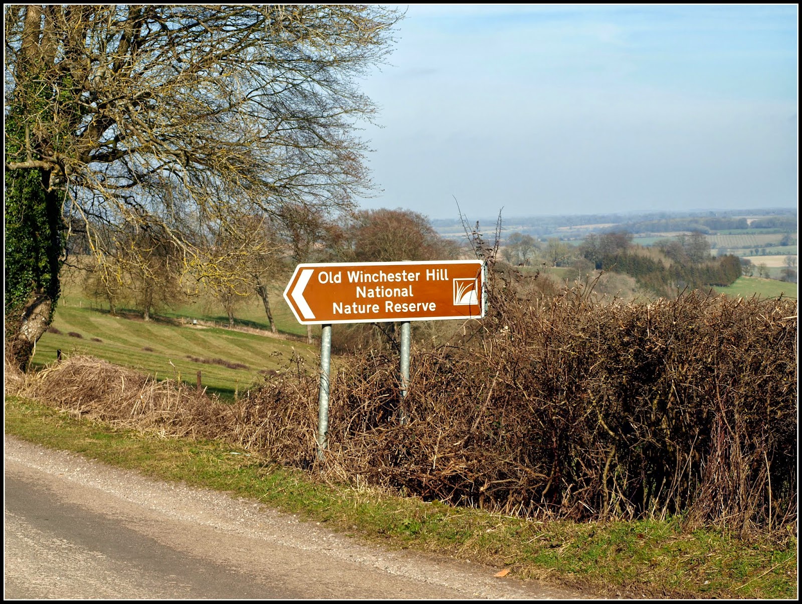 Mark's Veg Plot Old Winchester Hill