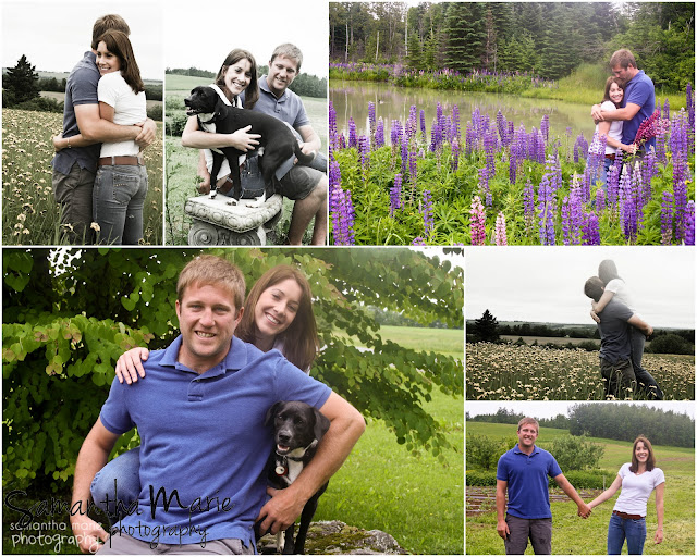 engagement photos in a field