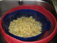 blanched vegetables in ice water cooling