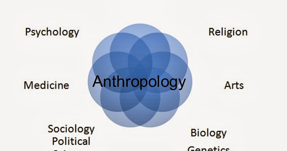Living in the library world Anthropology