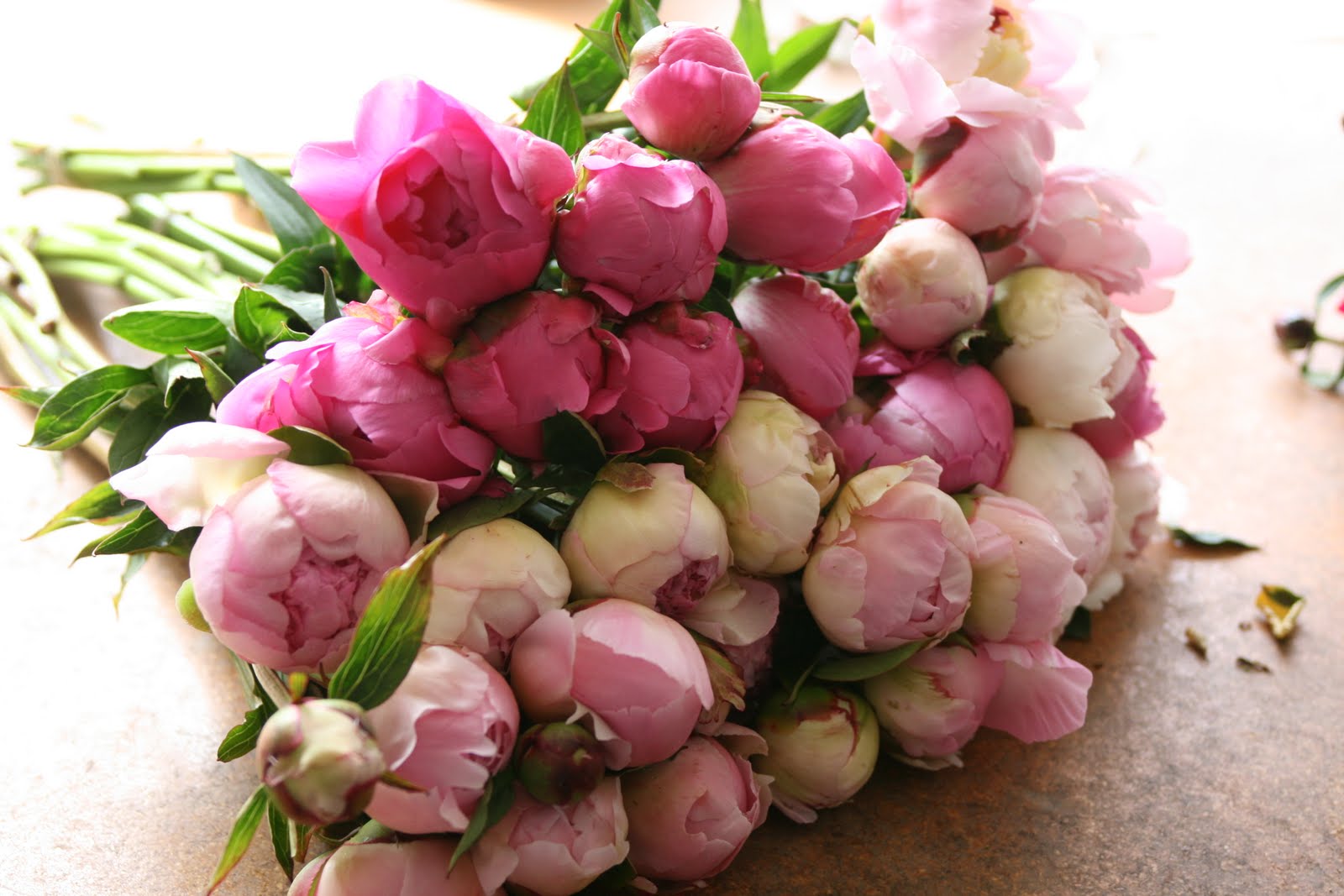 Peony Overload Floret Flowers
