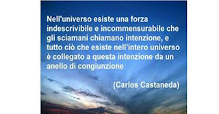 Raymond Bard Total Wellness Le Frasi E Le Immagini Che Cambiano La Tua Realta Scelte Da Raymond Bard Love Training