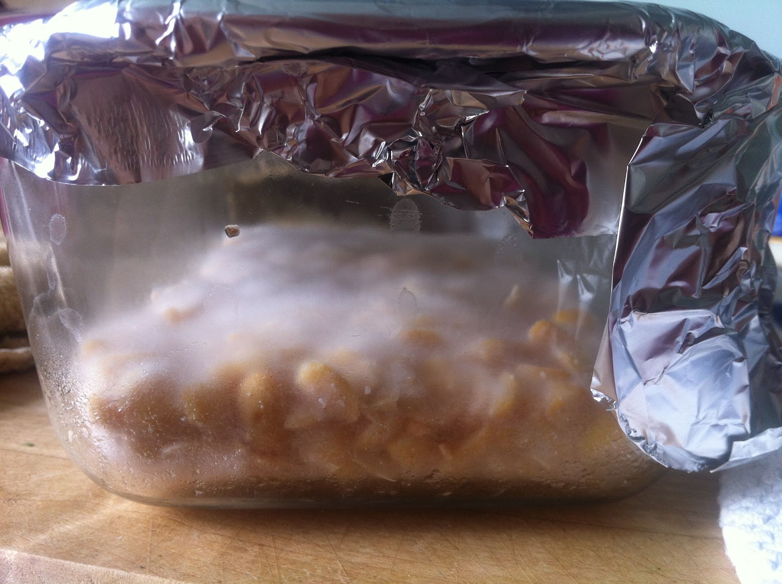 Paprika Homemade Tempeh