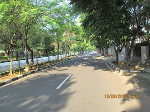 Plush tree-lined canopy in the costliest locality in Jakarta.