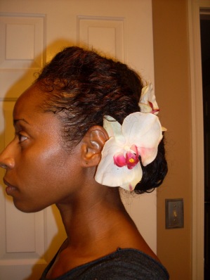 Roll And Side Bun Natural Hair Styles Curlynikki Natural Hair