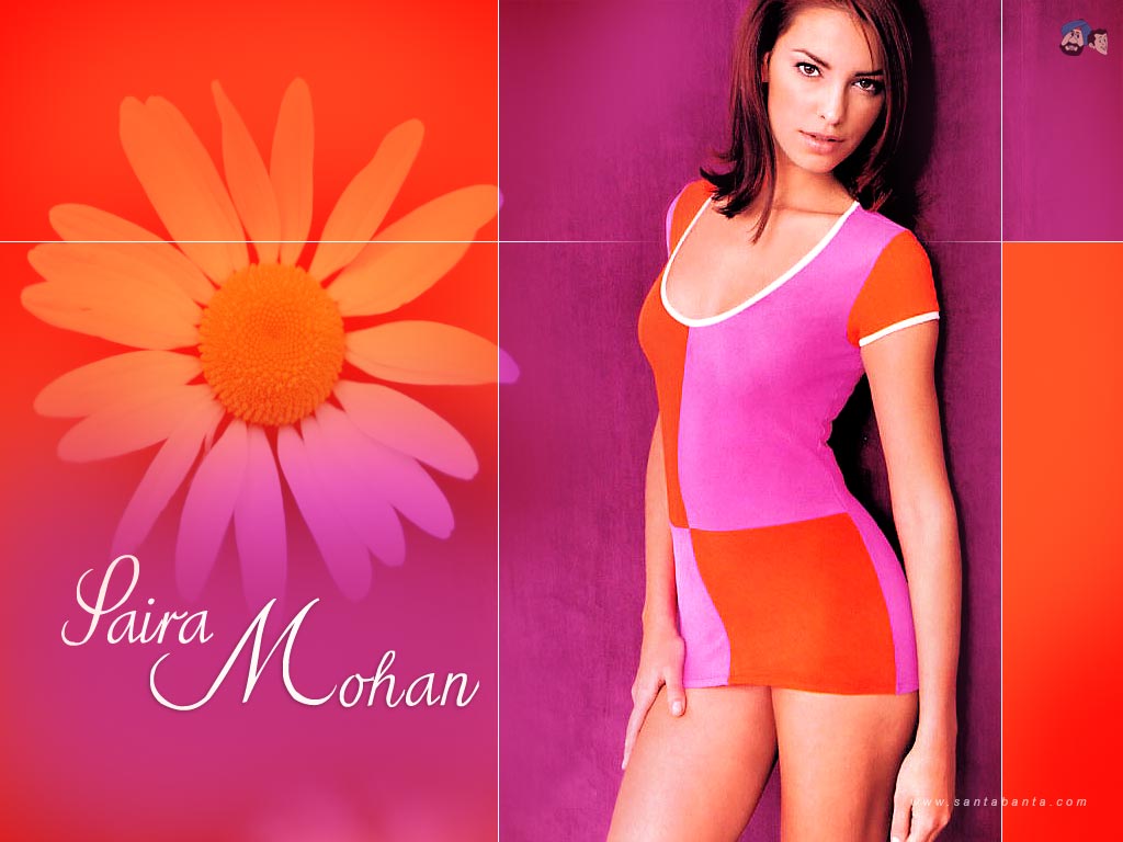 celebrities albums saira mohan celebrities albums saira mohan