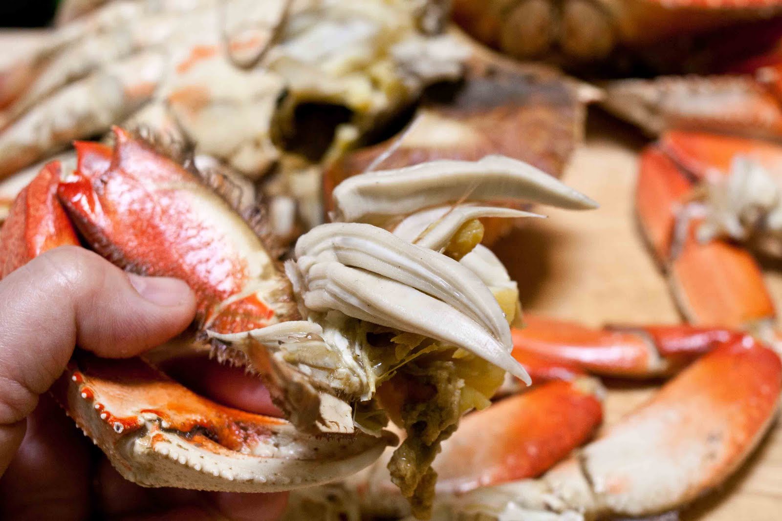 FOODjimoto Dungeness Crab Appetizer Plate