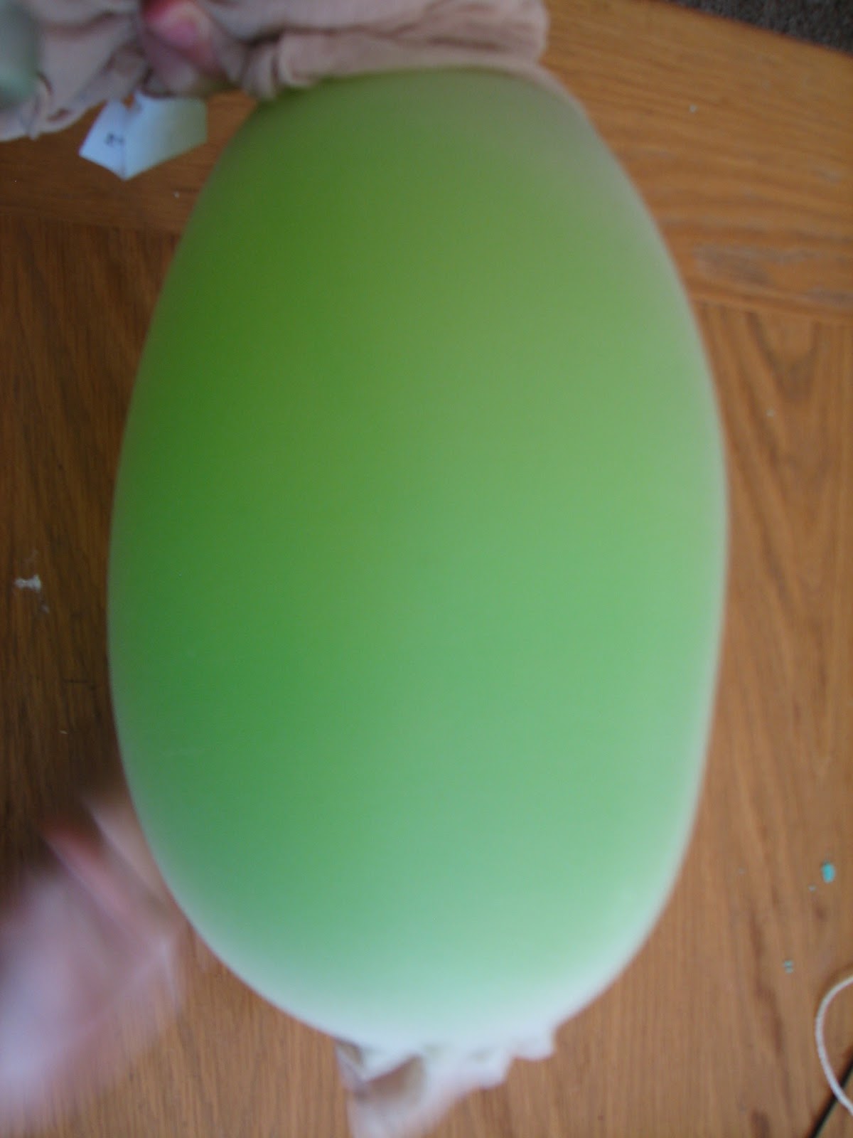 Science Matters Cells The Importance of Cell Walls