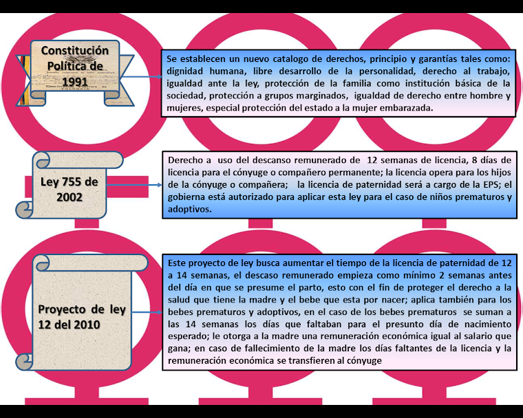 Evolución legal desde La Constitución de 1991